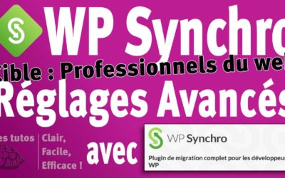 Les réglages avancés de WP Synchro